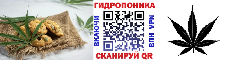 площадка как зайти  Калачинск  Canna-Cookies конопля 