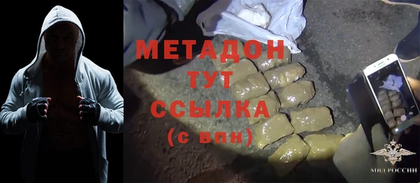 прущие грибы Осташков