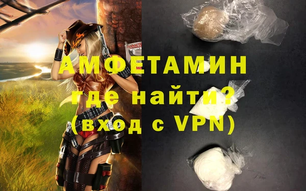 прущие грибы Осташков