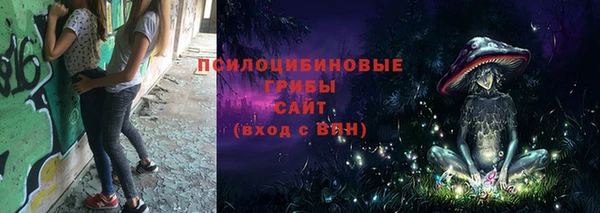 прущие грибы Осташков