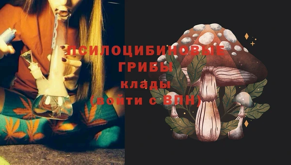 меф Нязепетровск