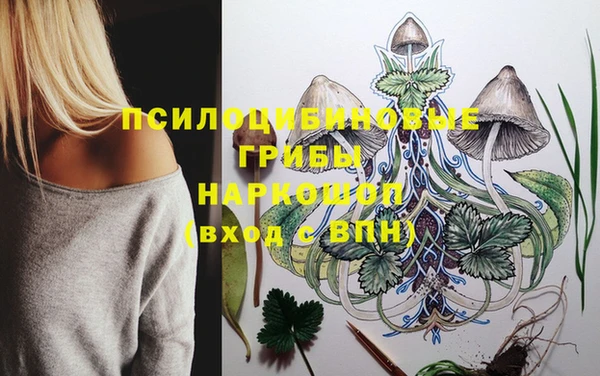 прущие грибы Осташков