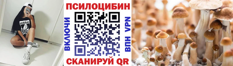 Галлюциногенные грибы Magic Shrooms  блэк спрут ссылка  Калачинск 